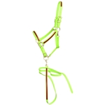 ****PHOTO SAMPLE*** $30 Apple Green Beta Biothane with Maroon Overlay Halter with adjustable chin and throatlatch snap with Matching Lead - Horse Size