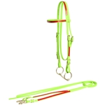 ****PHOTO SAMPLE*** $30 Apple Green Beta Biothane with Red Overlay Western Bridle with Matching Reins - Horse Size