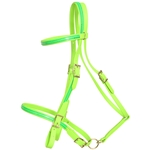 ****PHOTO SAMPLE*** $25 Apple Green Beta Biothane with Green Overlay Picnic Bridle Headstall - Horse Size