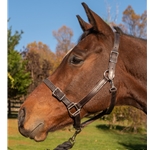 betabiothanecolors LEATHER Buckle Nose Safety Halter