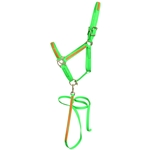 ****PHOTO SAMPLE*** $25 LIme Green Beta Biothane with Orange Overlay Halter & Matching Lead - Horse Size