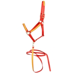 ****PHOTO SAMPLE*** $30 Red Beta Biothane with Sunflower Yellow Overlay Halter & Matching Lead - Horse Size