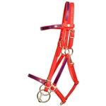 ****PHOTO SAMPLE*** $30 Red Beta Biothane with Purple Overlay Quick Change Halter Bridle Headstall - Horse Size