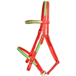 ****PHOTO SAMPLE*** $25 Red Beta Biothane with Green Overlay Picnic Bridle Headstall - Horse Size