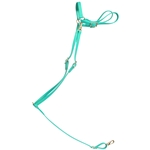 ****PHOTO SAMPLE*** $25 Turquoise Beta Biothane with Yellow Thread - English Breast Collar - Horse Size