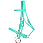 ****PHOTO SAMPLE*** $30 Turquoise Beta Biothane with Green Thread Halter Bridle Headstall - Horse Size