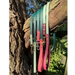 Beta BioThane Dog Leash - Dual Color