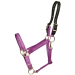 BETA BIOTHANE Safety Halter with Breakaway Leather Crown