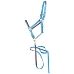 ****PHOTO SAMPLE*** $25 Light Blue Beta Biothane with Maroon Overlay Halter with Matching Lead - Horse Size