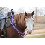 Save Money and Order a Bridle and Breast collar Tack Set - Two Horse Tack