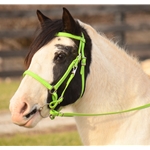 ****FLASH SALE**** $75 Any Color, Any Size Halter Bridle with Bit Hangers and Matching Reins made from Beta Biothane