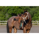 ****FLASH SALE**** $75 Any Color, Any Size Halter Bridle with Bit Hangers and Matching Reins made from Beta Biothane