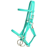 ****FLASH SALE**** $75 Any Color, Any Size Halter Bridle with Bit Hangers and Matching Reins made from Beta Biothane