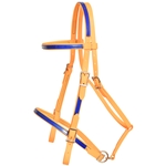 ****PHOTO SAMPLE*** $25 Mango Orange Beta Biothane with Blue Overlay Picnic Bridle Headstall - Horse Size