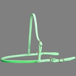 ****PHOTO SAMPLE*** $15 Mint/Seafoam Green Beta Biothane with Green Overlay Jumping Breast Collar - Horse Size