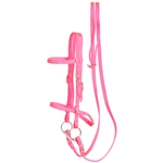 ****PHOTO SAMPLE*** $20 Hot Pink Nylon English Bridle & Matching Reins - Horse Size