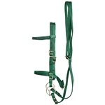 ****PHOTO SAMPLE*** $20 Hunter Green Nylon English Bridle & Matching Reins - Horse Size
