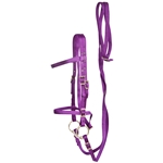 ****PHOTO SAMPLE*** $20 Purple Nylon English Bridle & Matching Reins - Horse Size