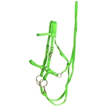 ****PHOTO SAMPLE*** $25 Lime Green Nylon Halter Bridle with Bit Hangers and Matching Reins - Horse Size