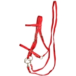****PHOTO SAMPLE*** $15 Red Nylon Halter Bridle with Bit Hangers and Matching Reins - Horse Size