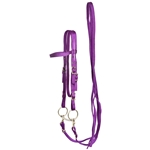 ****PHOTO SAMPLE*** $20 Purple Nylon Western Bridle and Reins - Horse Size