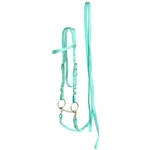 ****PHOTO SAMPLE*** $20 Turquoise Nylon Western Bridle and Reins - Horse Size