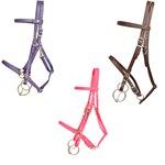 Save Money and Order a Bridle and Breast collar Tack Set - Two Horse Tack
