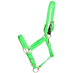 BETA BIOTHANE Safety Halter with Breakaway Leather Crown