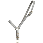 ****PHOTO SAMPLE*** $10 Gray Beta Biothane Grooming Halter - Horse Size