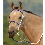 light blue (teal/sky)overlay BETA BIOTHANE with OVERLAY English Convert-A-Bridle 