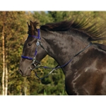 betabiothanecolors BETA BIOTHANE with OVERLAY English Convert-A-Bridle 