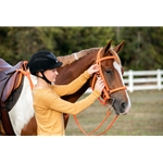 Traditional HALTER BRIDLE with BIT HANGERS made from BETA BIOTHANE (Solid Colored)