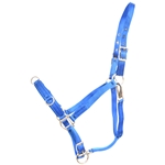 ****PHOTO SAMPLE*** $15 Blue Nylon Lunging Cavesson - Horse Size