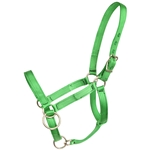 ****PHOTO SAMPLE*** $10 Green Nylon Pack Horse Halter - Horse Size