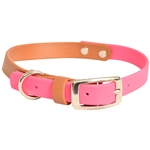 Mix N Match Dog Collar