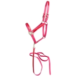 ****PHOTO SAMPLE*** $30 Magenta Pink Beta Biothane with Red Overlay Halter and Matching Lead - Horse Size