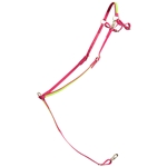 ****PHOTO SAMPLE*** $25 Raspberry Pink Beta Biothane with Safety Yellow Overlay English Breast Collar - Horse Size