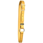 ****PHOTO SAMPLE*** $5 Gold Beta Biothane Adjustable Neck Collar - Horse Size