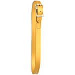 ****PHOTO SAMPLE*** $5 Gold Beta Biothane Neck Collar - Horse Size