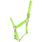 ****PHOTO SAMPLE*** $20 Apple Green Beta Biothane 5 Snap Convertible Grooming Halter - Horse Size