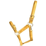 ****PHOTO SAMPLE*** $20 Gold Beta Biothane Buckle Nose Halter - Horse Size