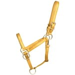 ****PHOTO SAMPLE*** $20 Gold Beta Biothane Pack Horse Halter - Horse Size