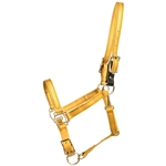 ****PHOTO SAMPLE*** $20 Gold Beta Biothane Safety Halter with Leather Breakaway Tab - Horse Size