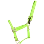 ****PHOTO SAMPLE*** $20 Apple Beta Biothane Safety Halter with Leather Breakaway Tab - Horse Size