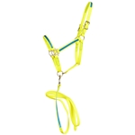 ****PHOTO SAMPLE*** $30 Safety Yellow Beta Biothane with Light Blue Overlay Halter & Matching Lead - Horse Size