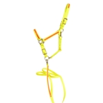****PHOTO SAMPLE*** $30 Safety Yellow Beta Biothane with Orange Overlay Halter & Matching Lead - Horse Size