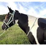 Beta BioThane Riding Neck Strap