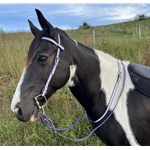 Reflective Beta BioThane Riding Neck Strap