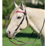 ENGLISH BRIDLE made from Beta Biothane (Solid Colored)