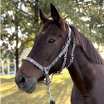 HALTER & LEAD made from BETA BIOTHANE (zebra print)